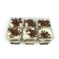 Tiramisu Cake 6Pk-Indulgence-FIG-iPantry-australia
